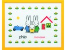 borduurpakket dick bruna, geboorte philip