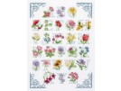 borduurpakket bloemen a.b.c.