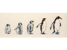 borduurpakket pinquins "van klein naar groot"