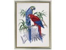 borduurpakket papegaaien