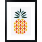 borduurpakket abstract, ananas
