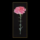 borduurpakket rose anjer op zwart