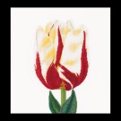 borduurpakket tulp-3